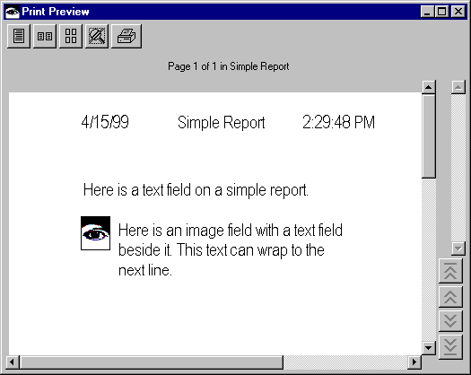 Print Preview window Print Preview window
